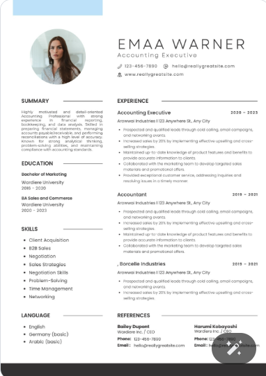 Professional CV Sample 5